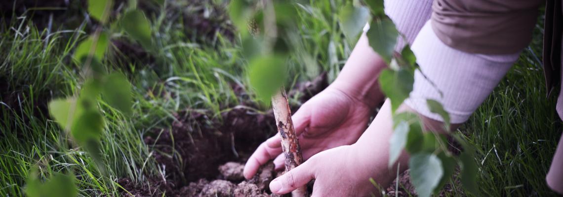 SPEcares – Compensa tu huella de carbono con SPE Ecuador Section - 2da Jornada